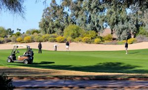 The Gold Course Scottsdale